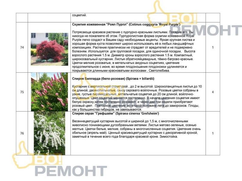 Проект благоустройства территории-102